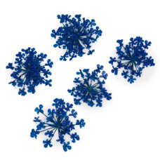 Suszone kwiatki MollyLac Royal Blue