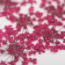 Suszone kwiatki MollyLac Fuchsia 