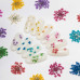 Suszone kwiatki MollyLac Fuchsia 