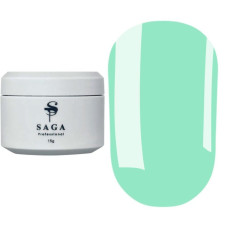 SAGA Professional Builder Pastel Color 13, 15g